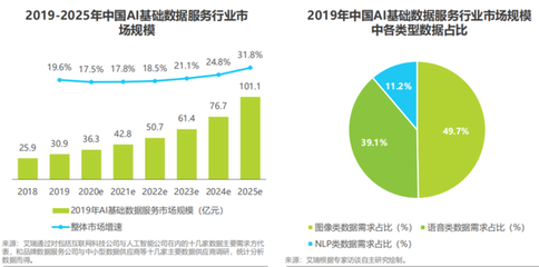 新基建热潮下，AI基础数据服务的变革与展望——解读2020年中国行业发展现状与趋势
